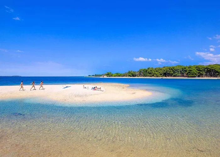 Διαμέρισμα Olive